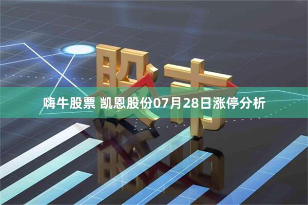 嗨牛股票 凯恩股份07月28日涨停分析