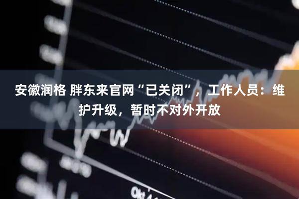 安徽润格 胖东来官网“已关闭”，工作人员：维护升级，暂时不对外开放