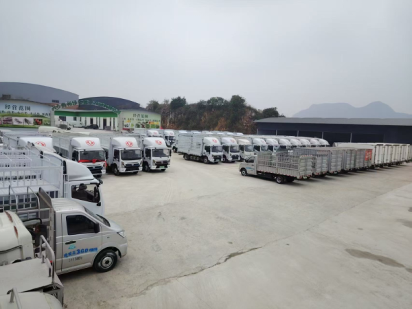 交易鑫优配 从“输血”到“造血”：工行贵阳碧海花园支行金融助力本土商贸企业驶入发展快车道