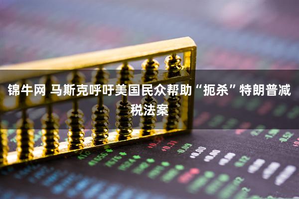 锦牛网 马斯克呼吁美国民众帮助“扼杀”特朗普减税法案